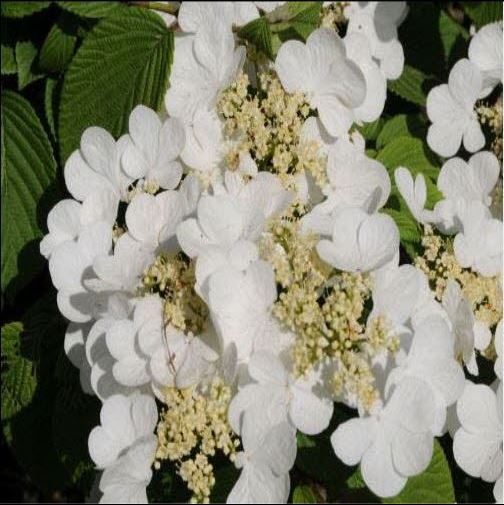 ���콺�� Ŭ���Ͻø� �����̹����� ���Ǽ� �ֽ��ϴ�.