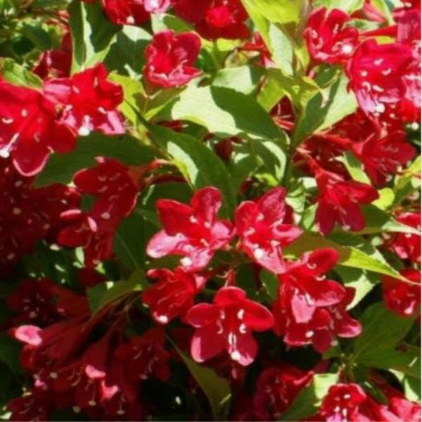 ���콺�� Ŭ���Ͻø� �����̹����� ���Ǽ� �ֽ��ϴ�.