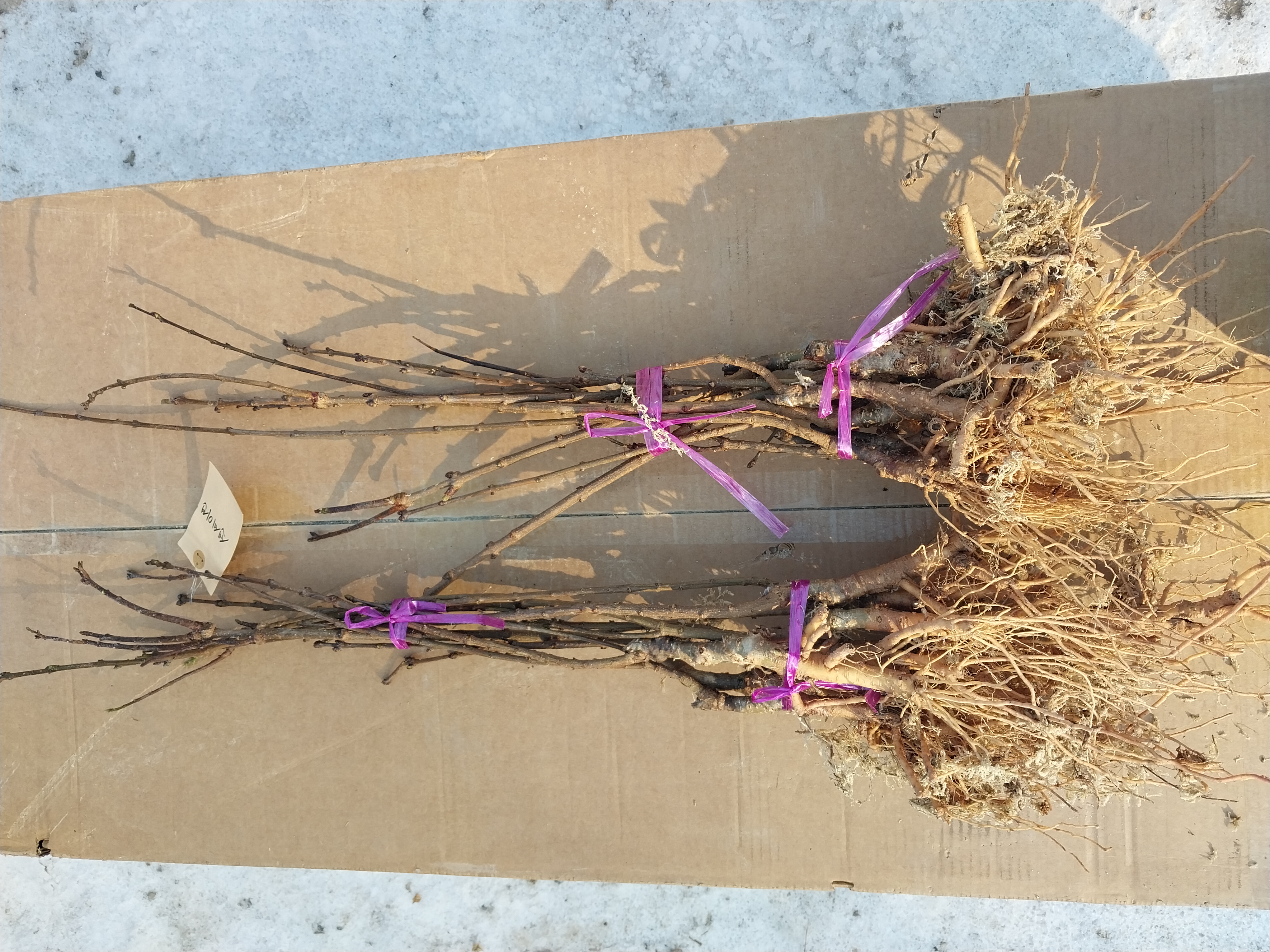 ���콺�� Ŭ���Ͻø� �����̹����� ���Ǽ� �ֽ��ϴ�.