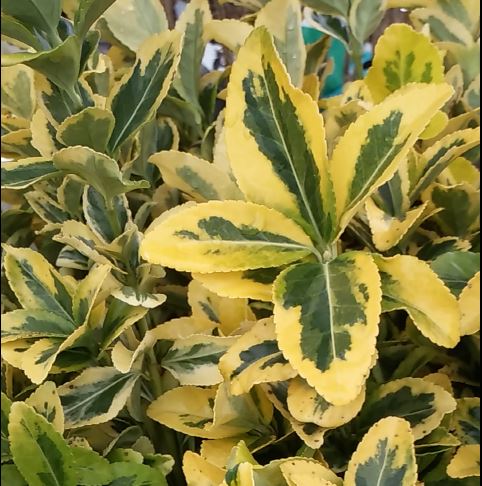 콺 ŬϽø ̹ Ǽ ֽϴ.