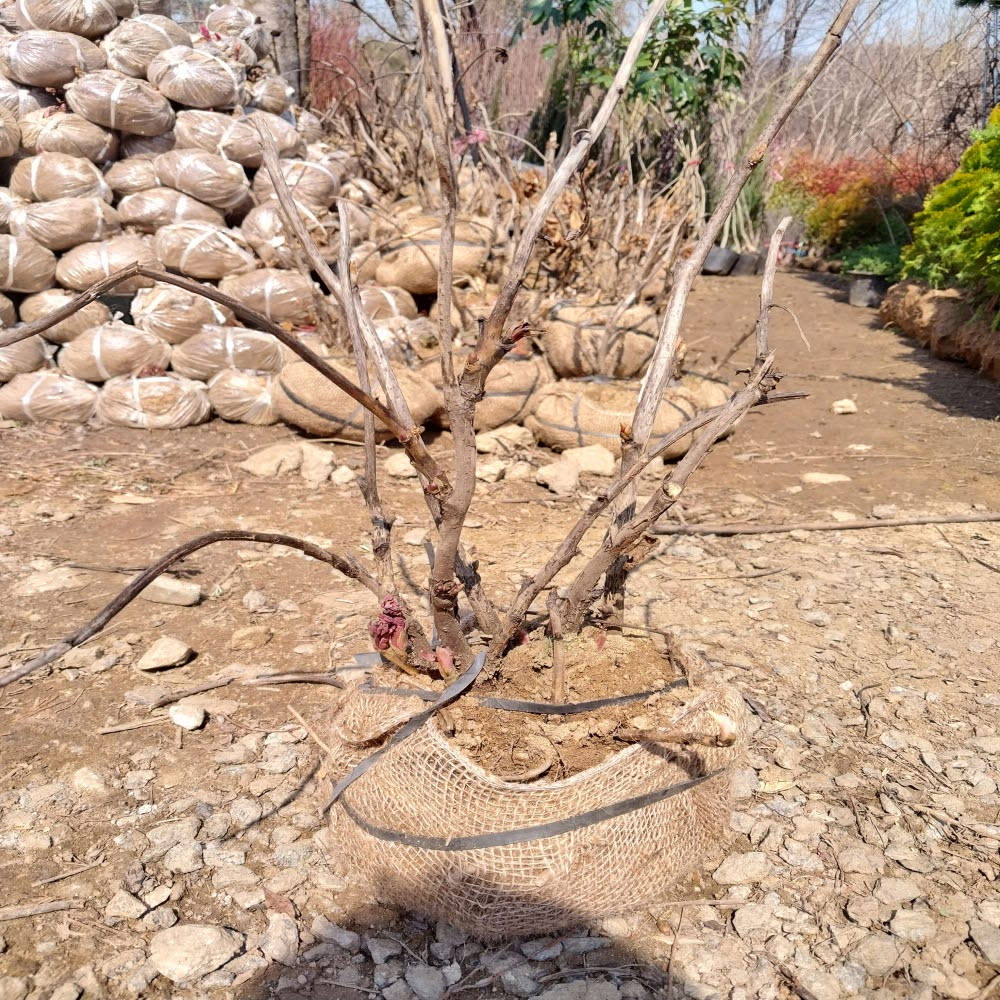 ���콺�� Ŭ���Ͻø� �����̹����� ���Ǽ� �ֽ��ϴ�.