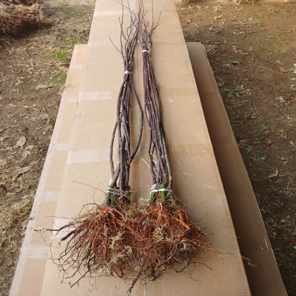 ���콺�� Ŭ���Ͻø� �����̹����� ���Ǽ� �ֽ��ϴ�.