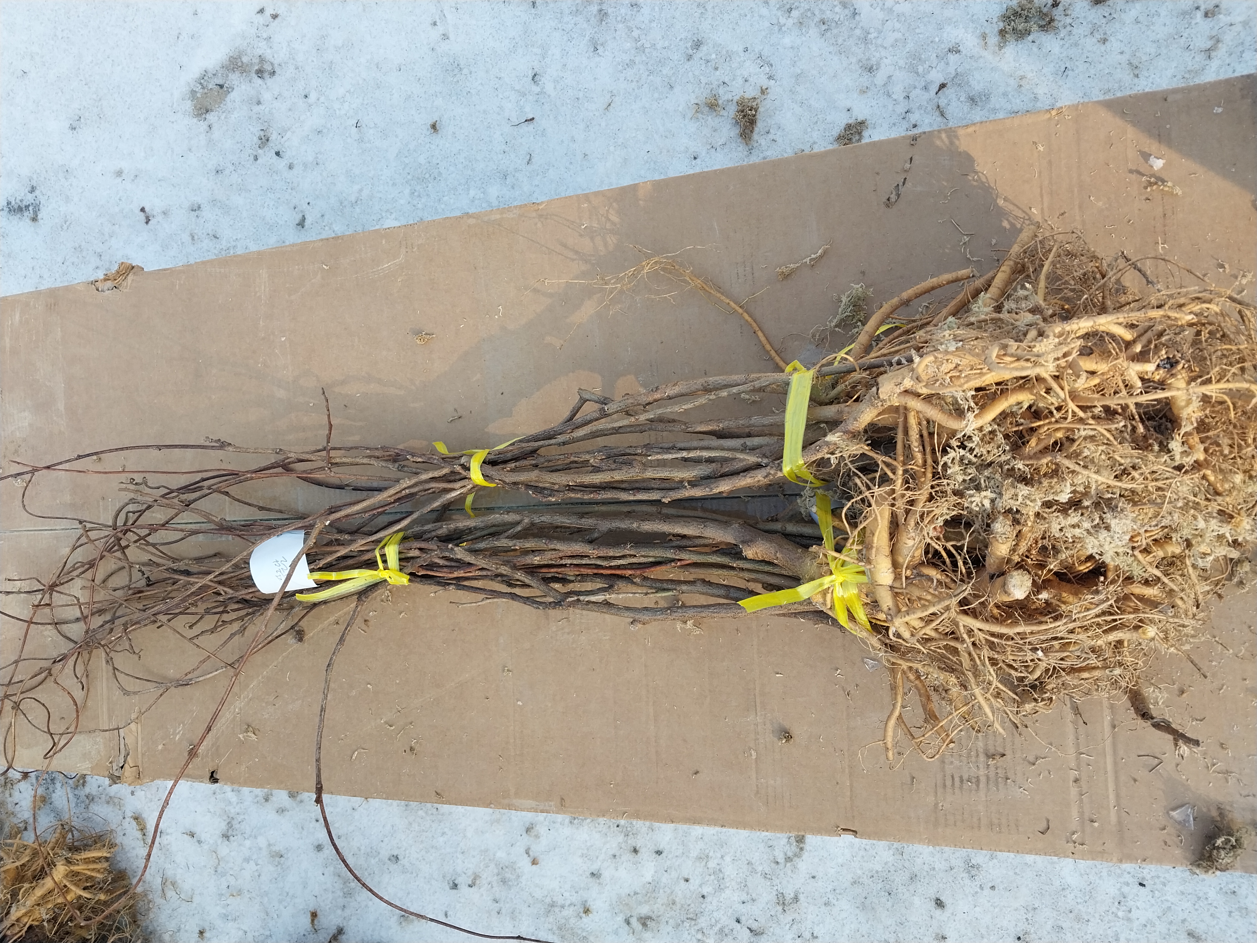 ���콺�� Ŭ���Ͻø� �����̹����� ���Ǽ� �ֽ��ϴ�.