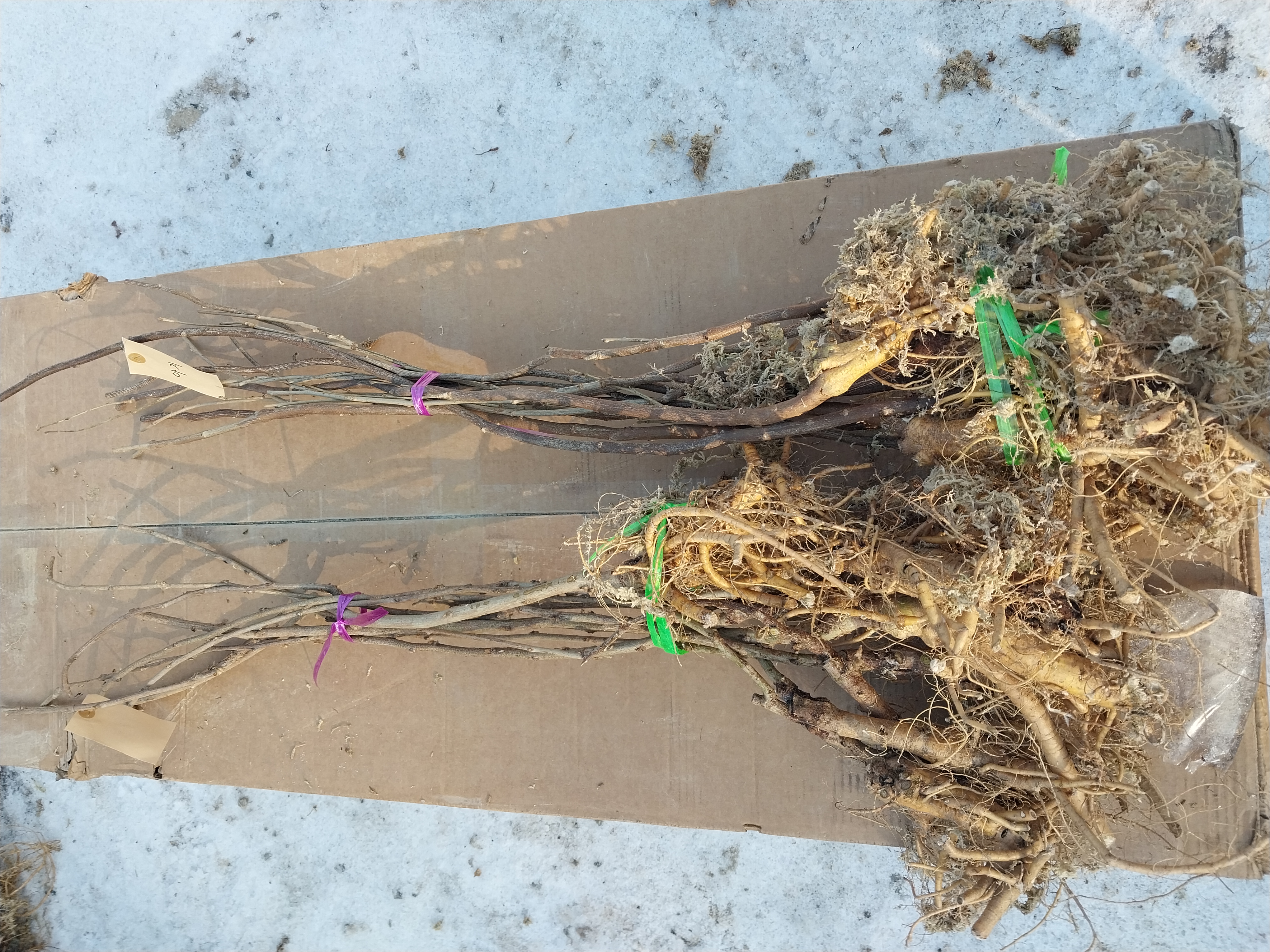 ���콺�� Ŭ���Ͻø� �����̹����� ���Ǽ� �ֽ��ϴ�.