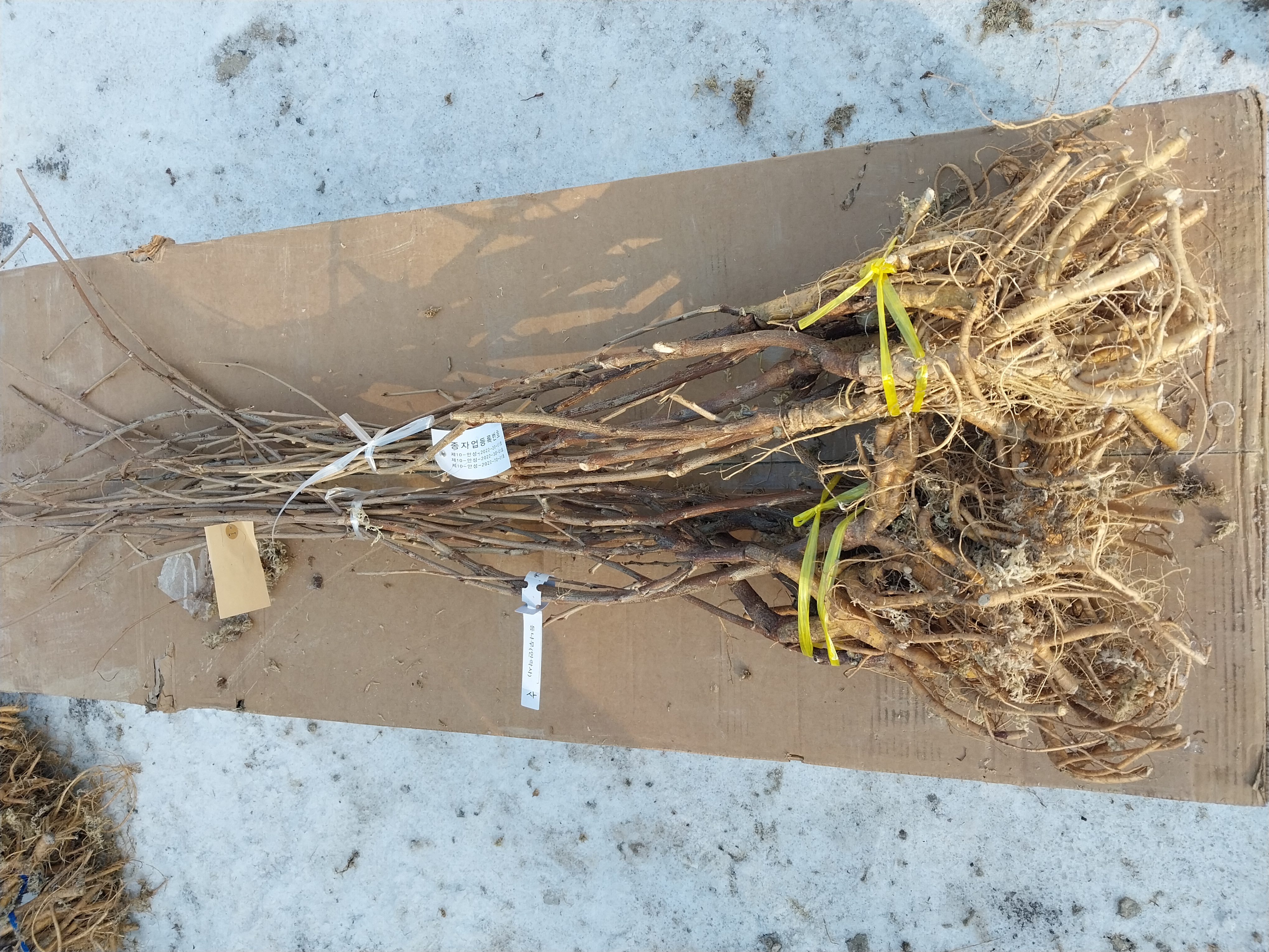 ���콺�� Ŭ���Ͻø� �����̹����� ���Ǽ� �ֽ��ϴ�.