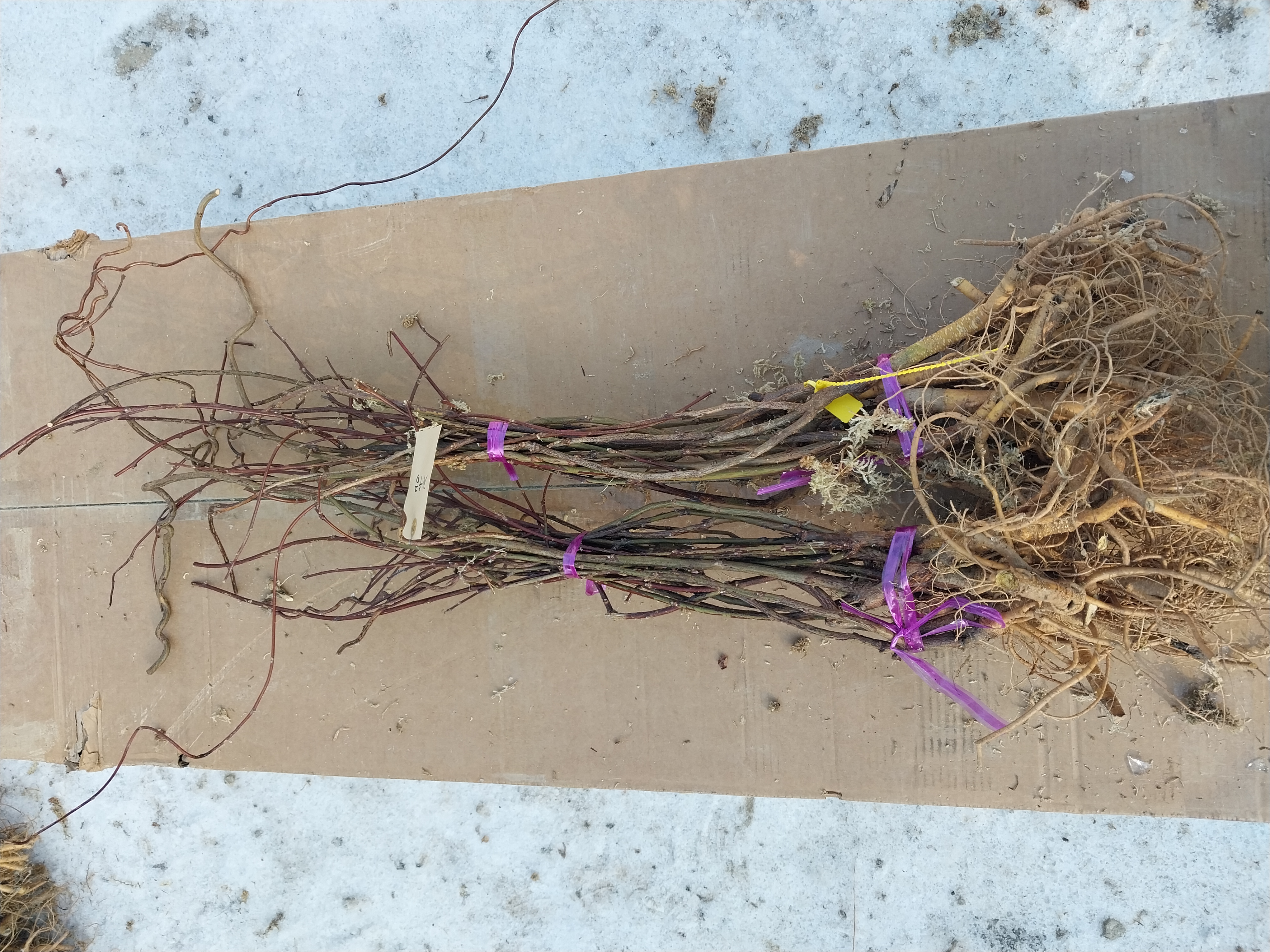 ���콺�� Ŭ���Ͻø� �����̹����� ���Ǽ� �ֽ��ϴ�.