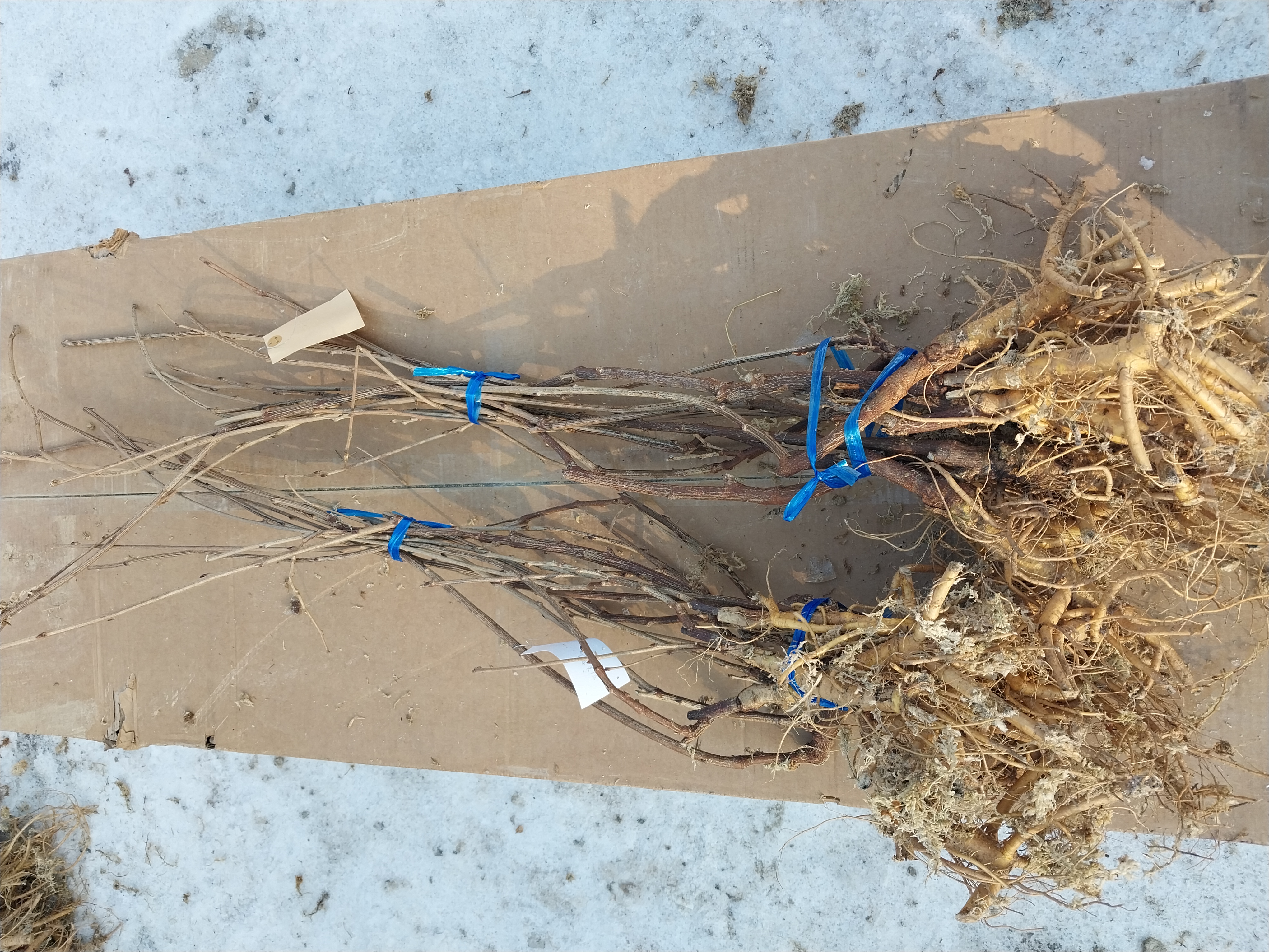 ���콺�� Ŭ���Ͻø� �����̹����� ���Ǽ� �ֽ��ϴ�.