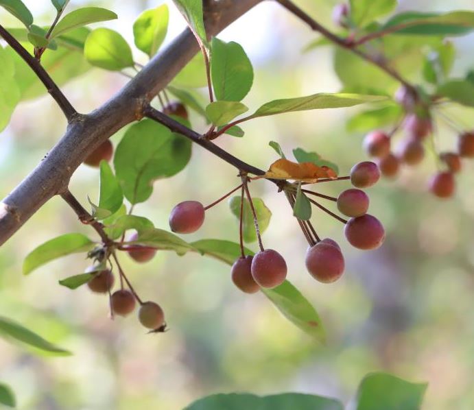 콺 ŬϽø ̹ Ǽ ֽϴ.