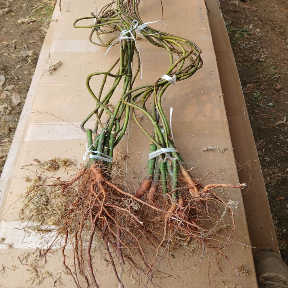 ���콺�� Ŭ���Ͻø� �����̹����� ���Ǽ� �ֽ��ϴ�.