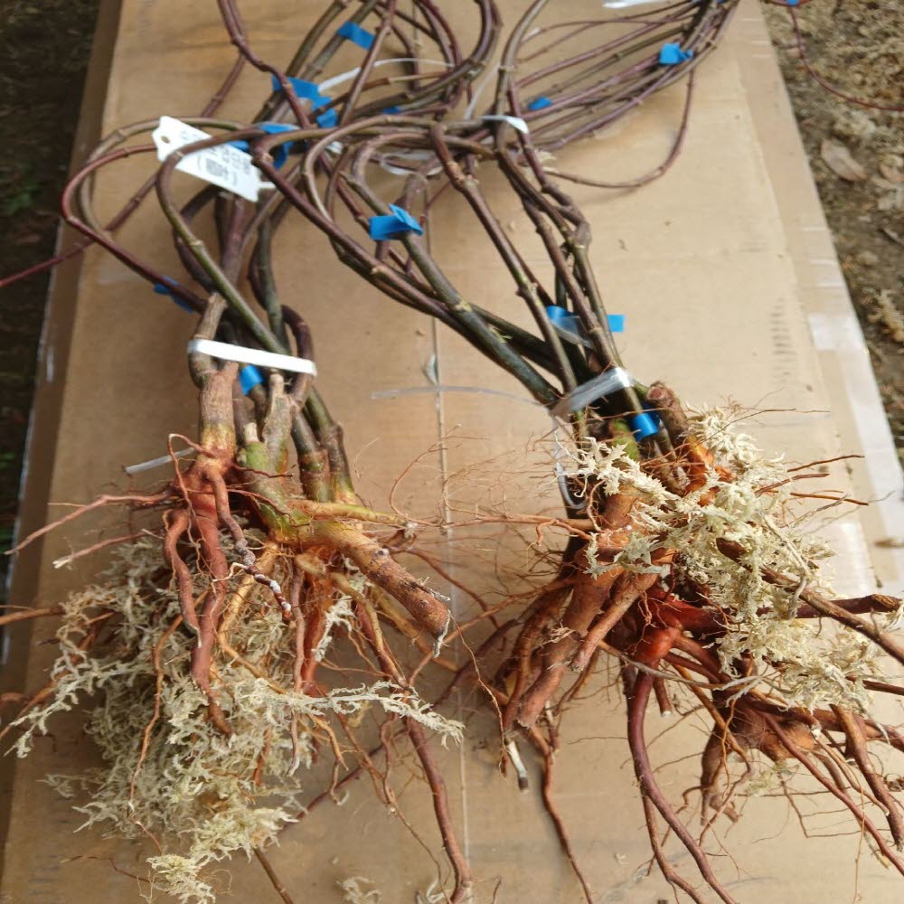 ���콺�� Ŭ���Ͻø� �����̹����� ���Ǽ� �ֽ��ϴ�.