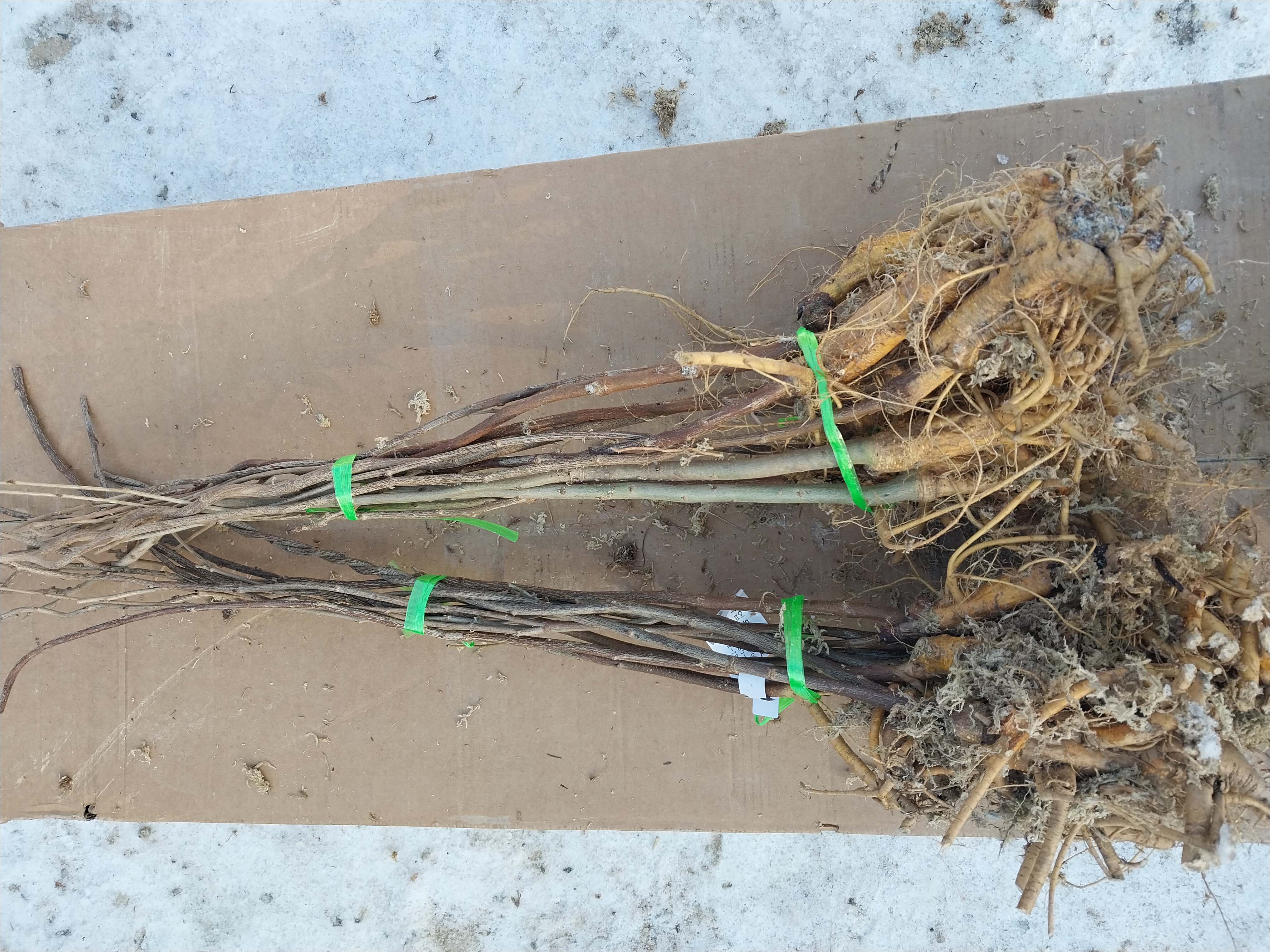 ���콺�� Ŭ���Ͻø� �����̹����� ���Ǽ� �ֽ��ϴ�.