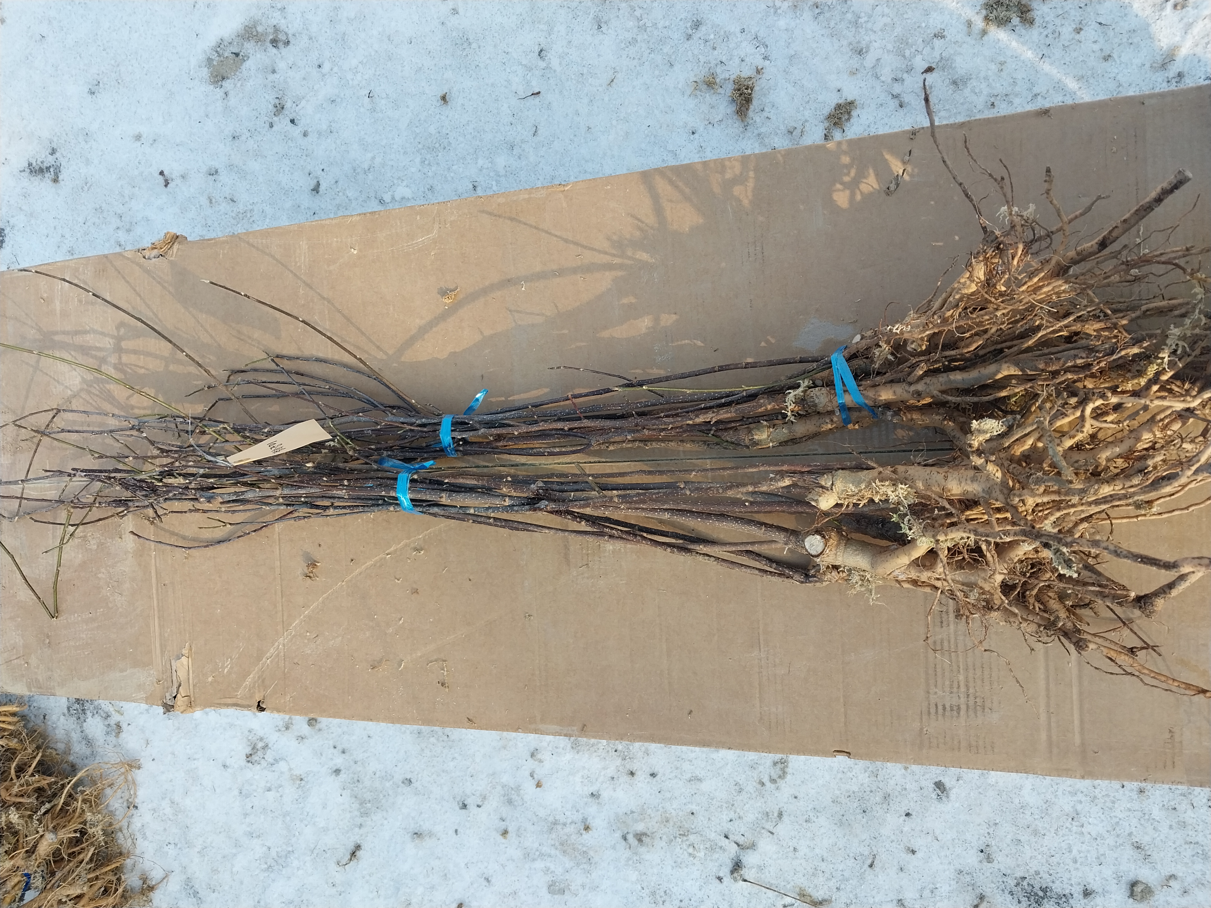 ���콺�� Ŭ���Ͻø� �����̹����� ���Ǽ� �ֽ��ϴ�.