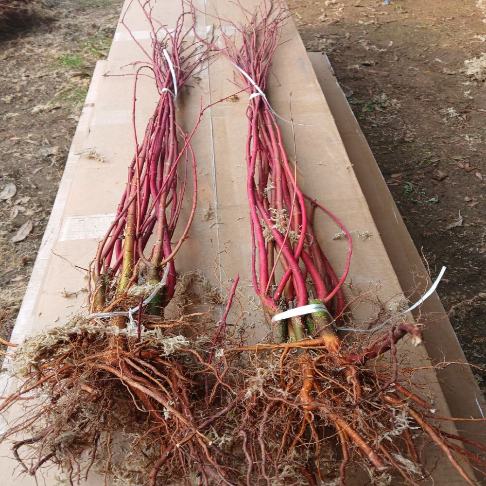 ���콺�� Ŭ���Ͻø� �����̹����� ���Ǽ� �ֽ��ϴ�.