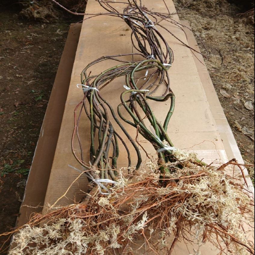 ���콺�� Ŭ���Ͻø� �����̹����� ���Ǽ� �ֽ��ϴ�.