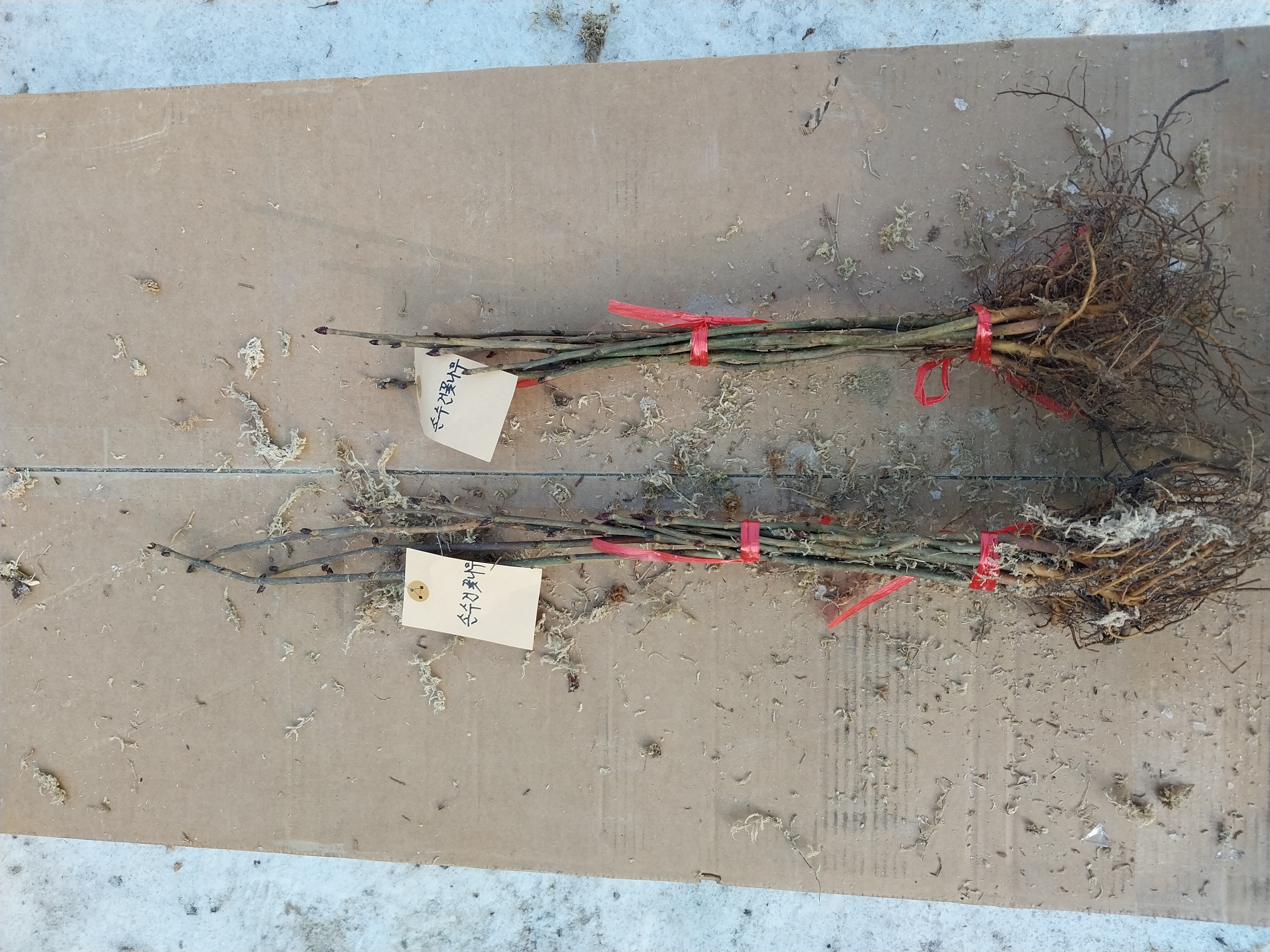 ���콺�� Ŭ���Ͻø� �����̹����� ���Ǽ� �ֽ��ϴ�.