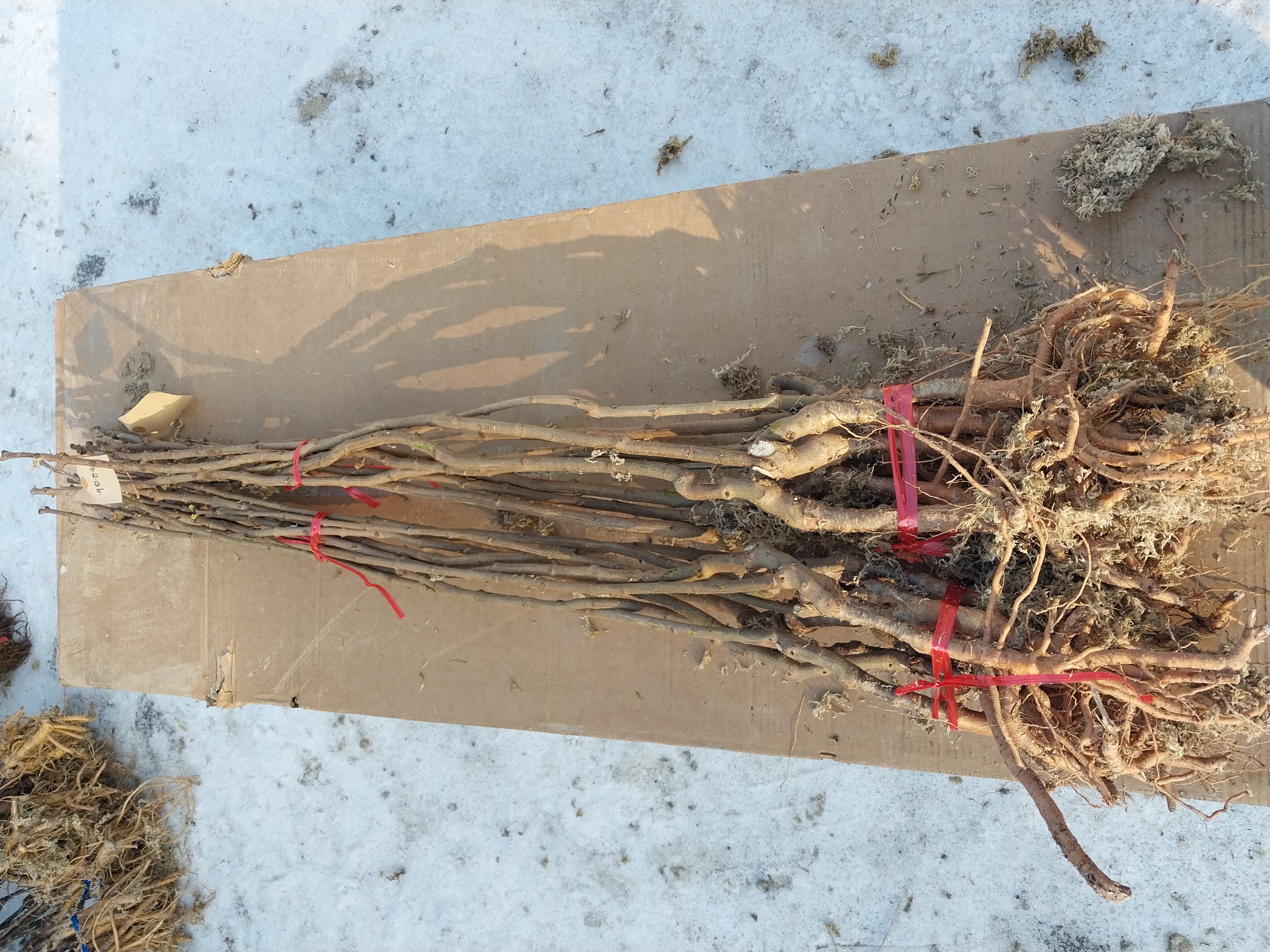 ���콺�� Ŭ���Ͻø� �����̹����� ���Ǽ� �ֽ��ϴ�.