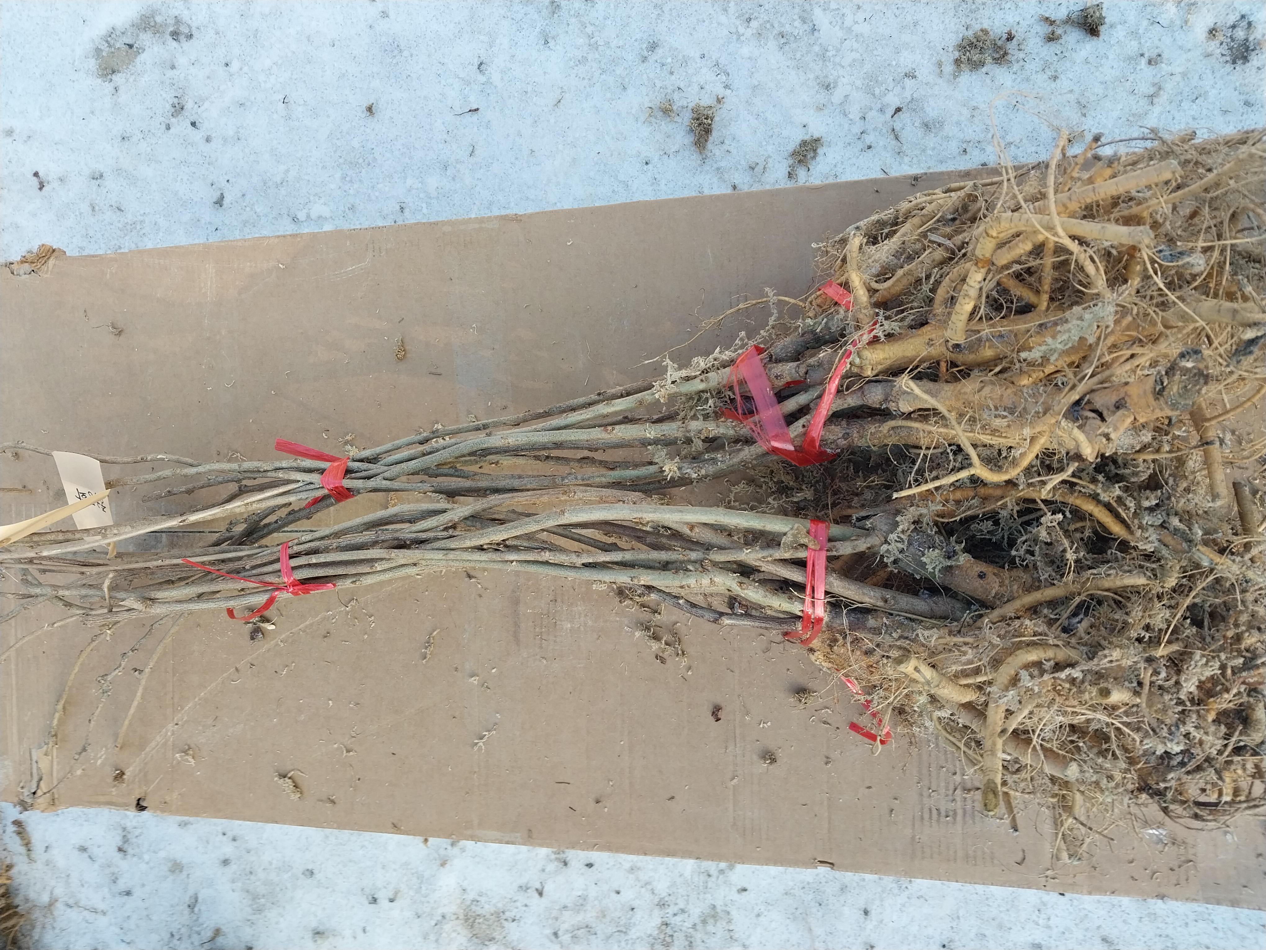 ���콺�� Ŭ���Ͻø� �����̹����� ���Ǽ� �ֽ��ϴ�.