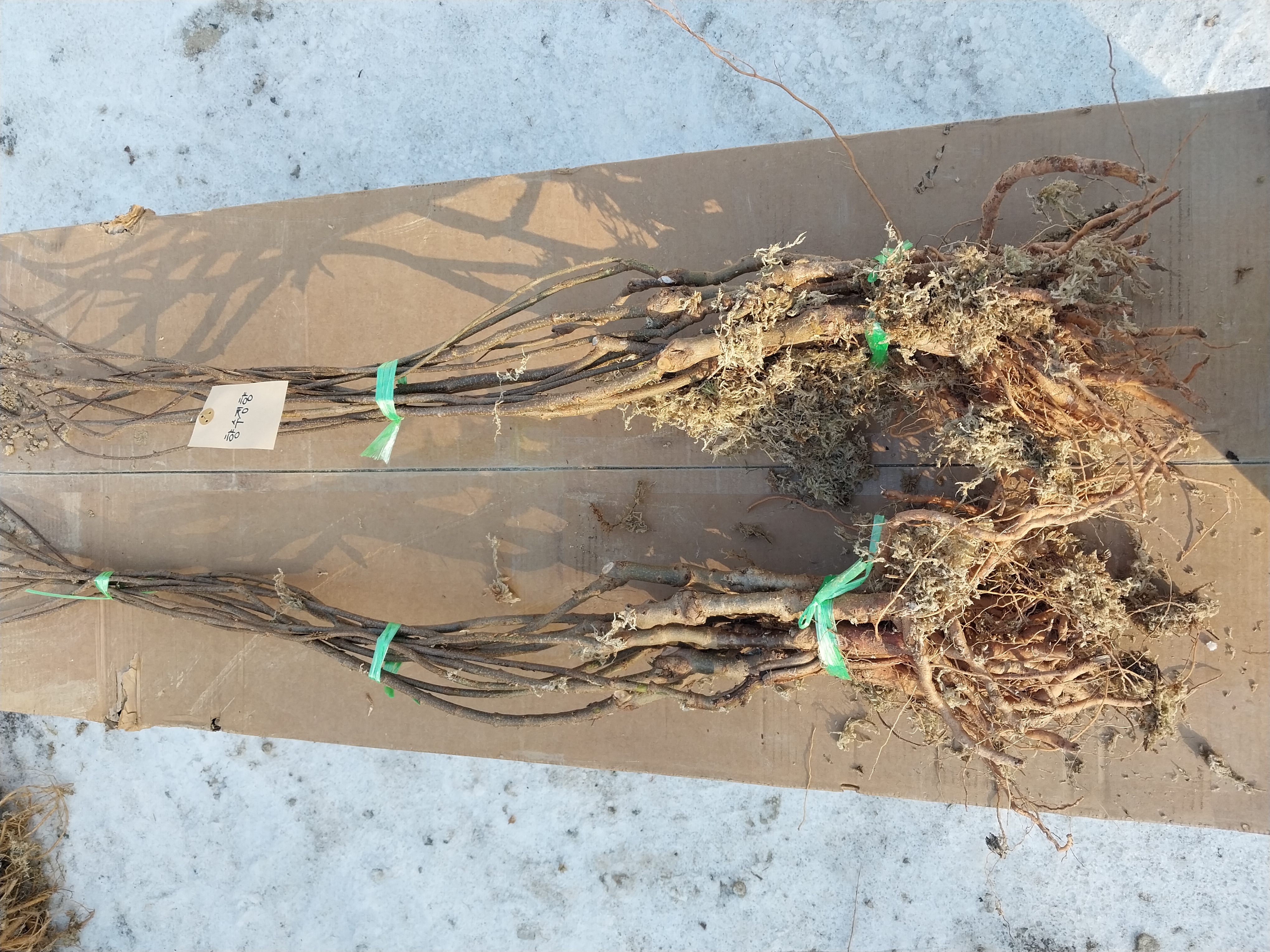 ���콺�� Ŭ���Ͻø� �����̹����� ���Ǽ� �ֽ��ϴ�.