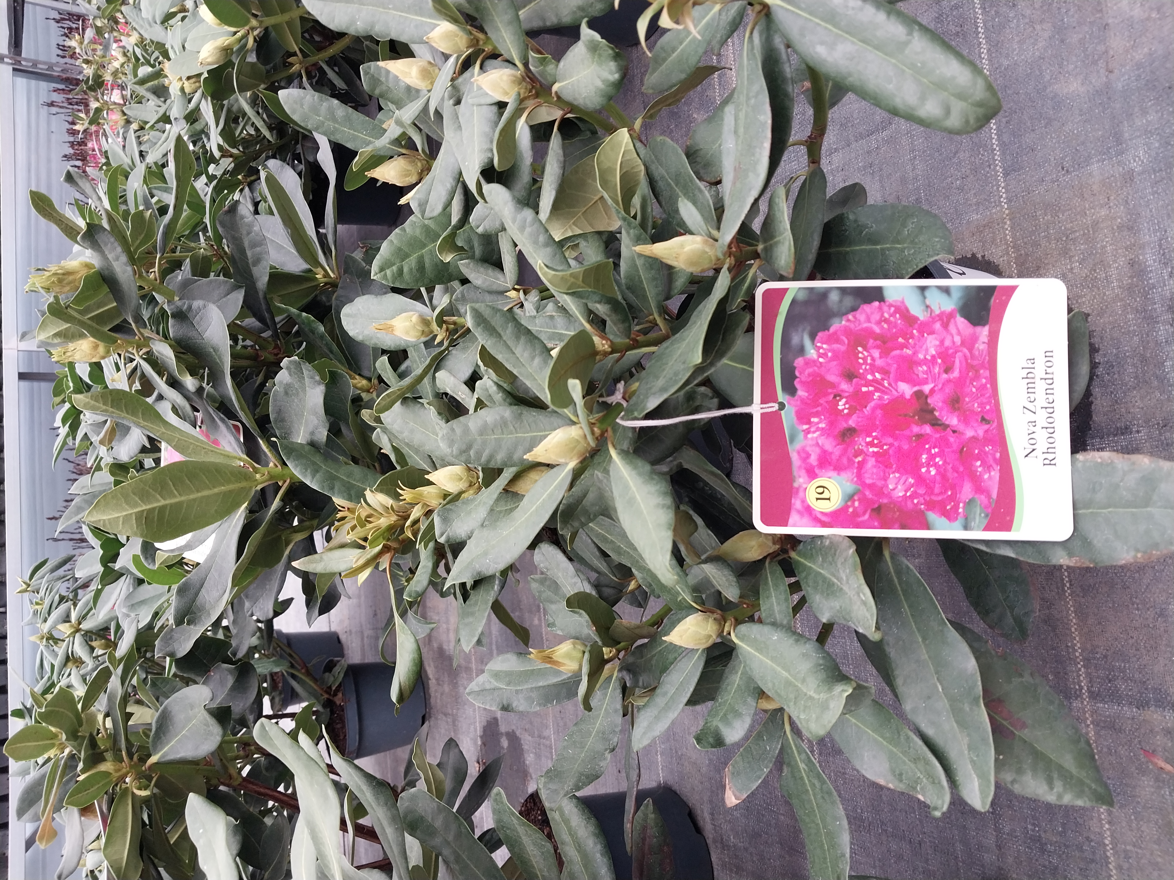 ���콺�� Ŭ���Ͻø� �����̹����� ���Ǽ� �ֽ��ϴ�.