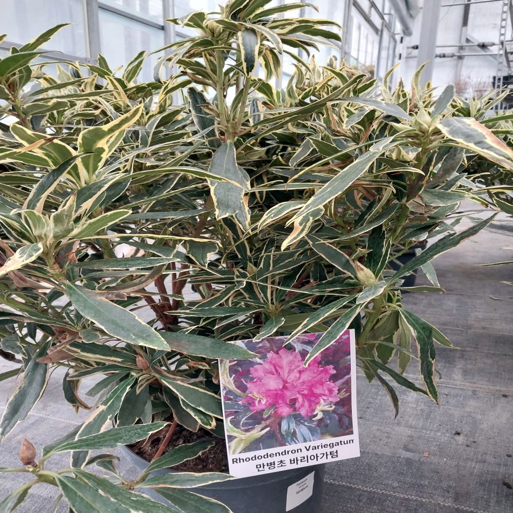 ���콺�� Ŭ���Ͻø� �����̹����� ���Ǽ� �ֽ��ϴ�.