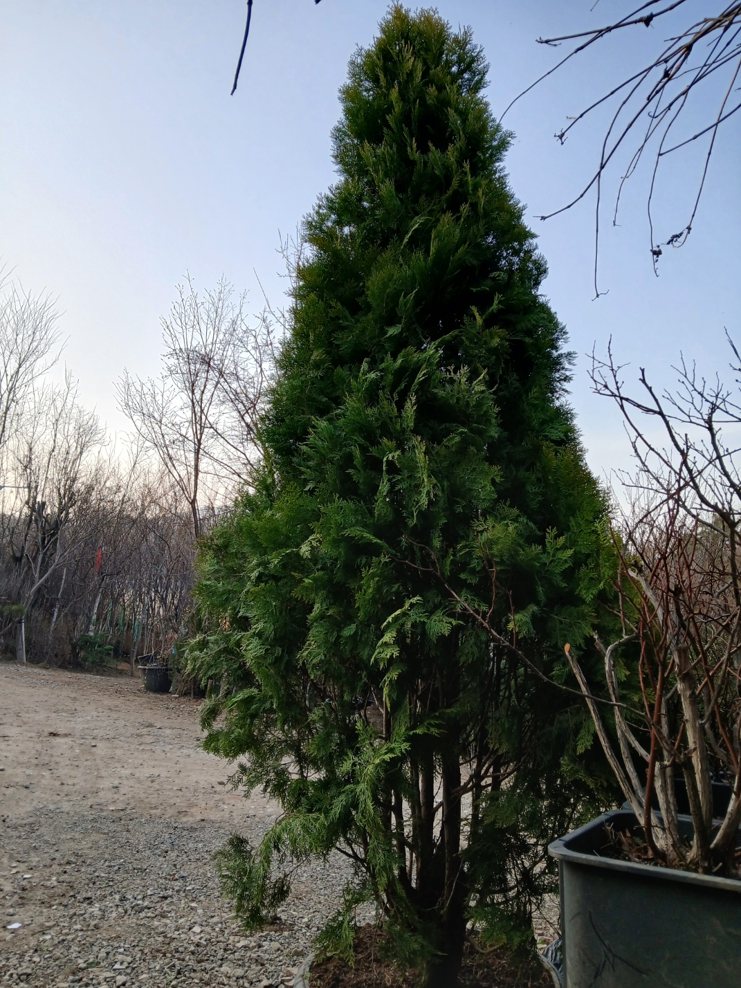 ���콺�� Ŭ���Ͻø� �����̹����� ���Ǽ� �ֽ��ϴ�.